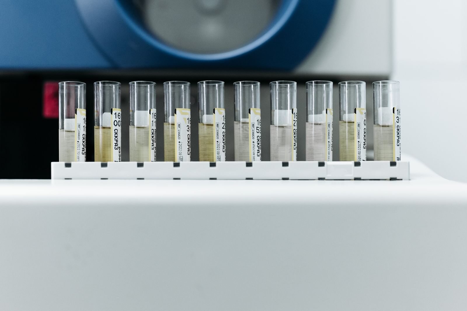 Row of labeled test tubes on a rack in a modern laboratory environment.